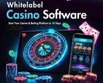 How Does Plurance’s WhiteLabel Sportsbook Software Maximize ROI?
