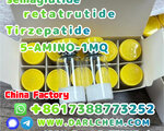 Semaglutide 5-AMINO-1MQ Retatrutide 910463-68-2 Low Price