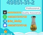 Medical Grade 49851-31-2 | API Synthesis Raw Material