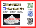 28578-16-7 P.M.K Powder & 5449-12-7 B.M.K Chemical raw materials