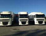 Современные тягачи Scania и DAF - работа для водителей C+E, Польша