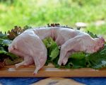 Ճագարի թարմ միս / chagari mis 3000 / Мясо кролика высшего качества, ЗА КАЧЕСТВО ОТВЕЧАЕМ