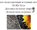 Шрот подсолнечный и соевый оптом от производителя ГК Юг Руси