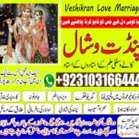 Amil baba  in Canada kalailam kalajadu 03103166444